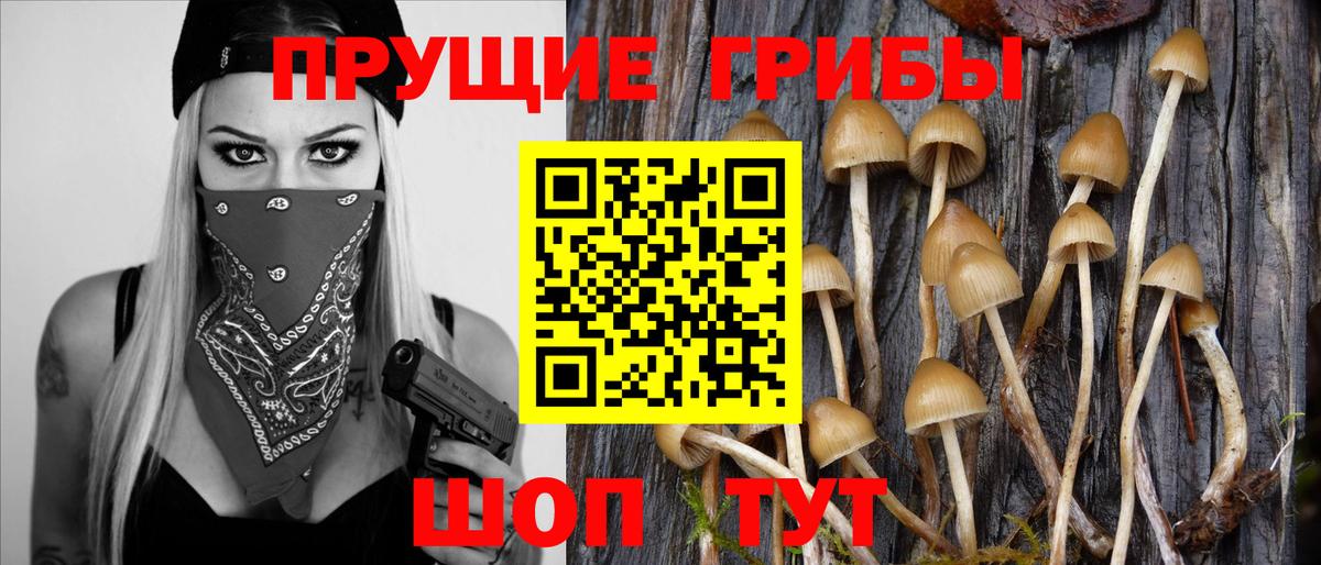 Галлюциногенные грибы Magic Shrooms Асбест